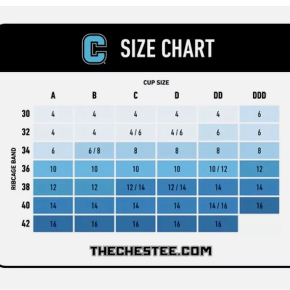 Chestee Weightlifting Sports Bra - Picture 3 of 3